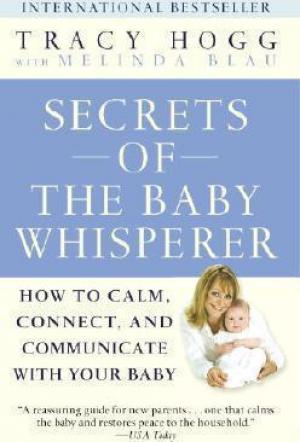 Secrets of the Baby Whisperer Free ePub Download