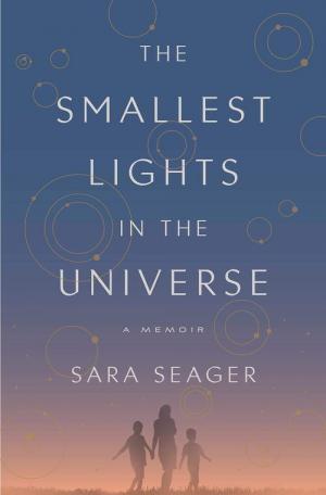 The Smallest Lights in the Universe Free ePub Download