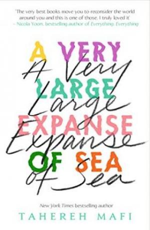 A Very Large Expanse of Sea EPUB Download