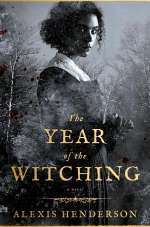 The Year of the Witching Free ePub Download