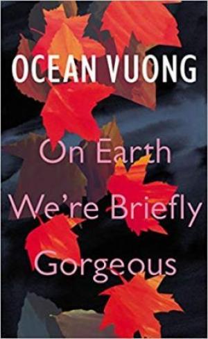 On Earth We're Briefly Gorgeous Free ePub Download