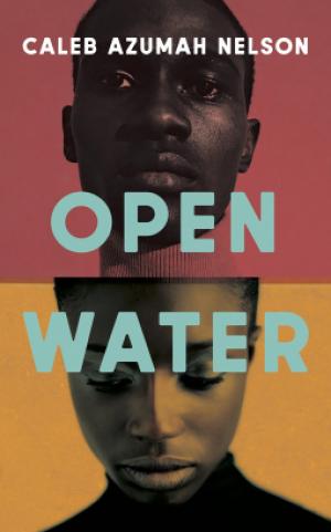 Open Water Free ePub Download