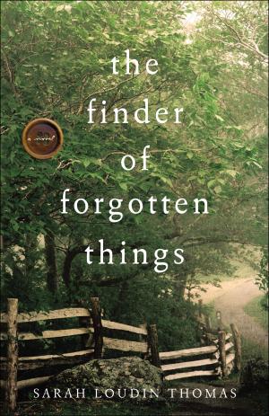 The Finder of Forgotten Things Free ePub Download