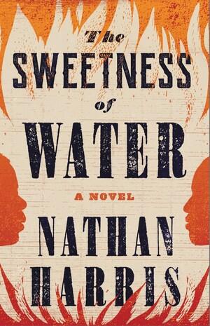 The Sweetness of Water Free ePub Download