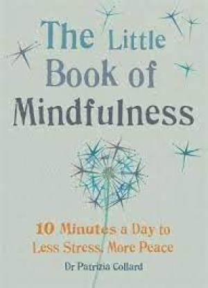 Little Book of Mindfulness Free ePub Download