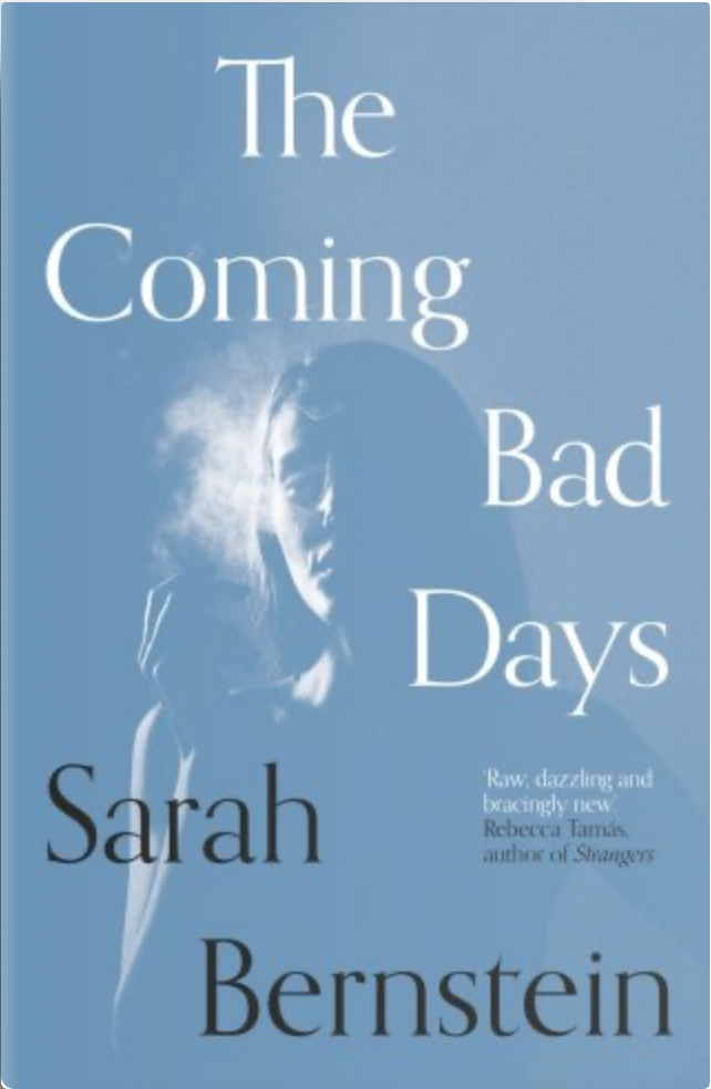 The Coming Bad Days Free ePub Download
