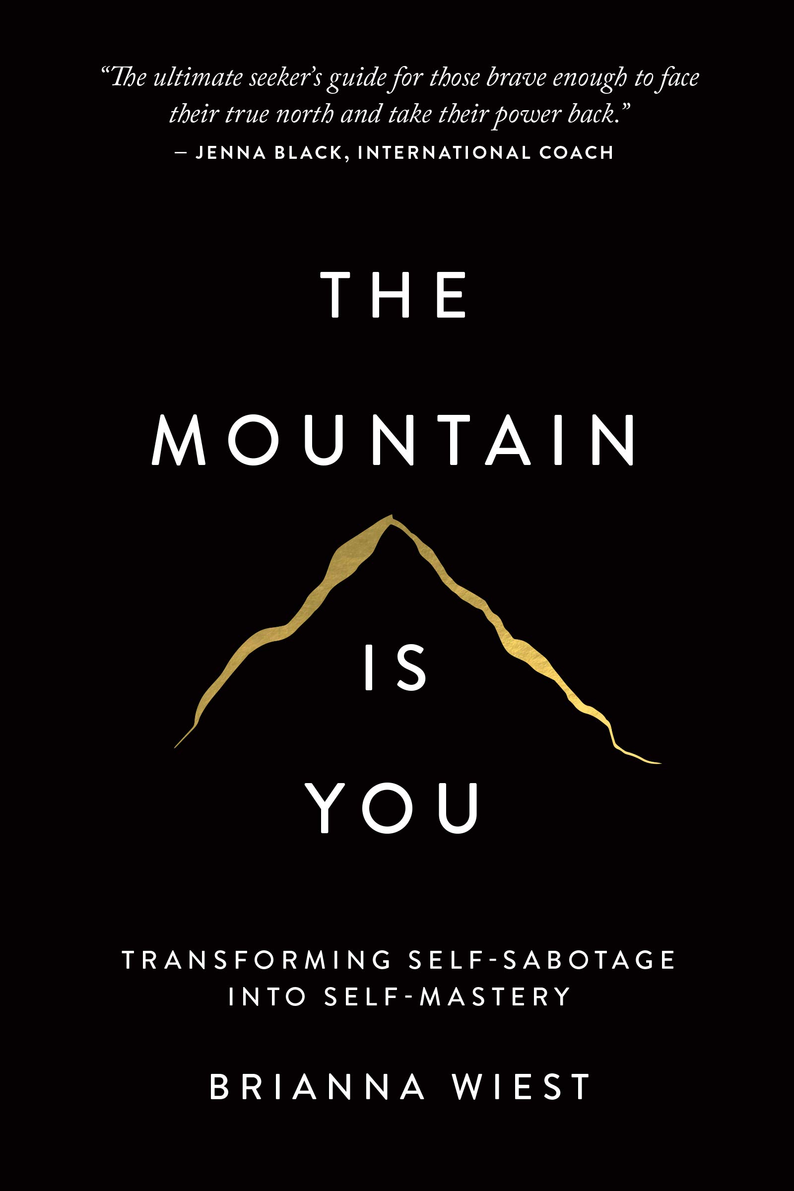 The Mountain is You Free ePub Download