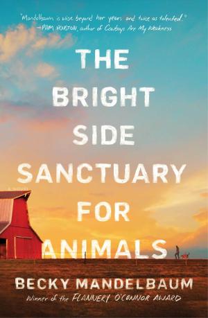 The Bright Side Sanctuary for Animals Free ePub Download