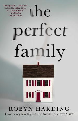The Perfect Family by Robyn Harding Free ePub Download