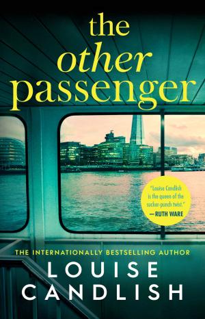 The Other Passenger by Louise Candlish Free ePub Download