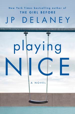 Playing Nice by J.P. Delaney Free ePub Download
