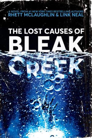 The Lost Causes of Bleak Creek Free ePub Download